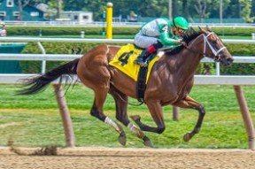 星空电竞-中国花游队世界赛上展示完美默契，中国花游队名单